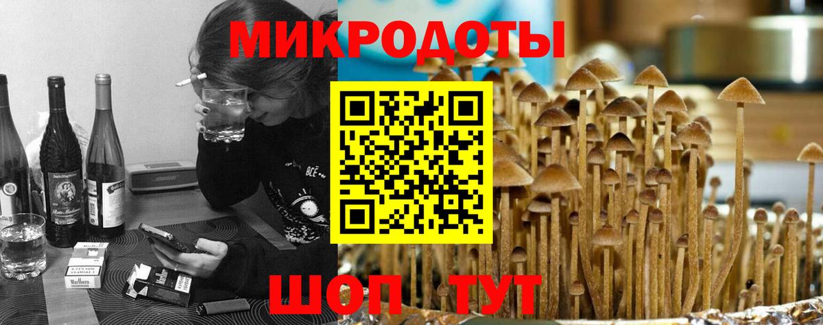 Псилоцибиновые грибы Cubensis  Вход с VPN  Горно-Алтайск  Галлюциногенные грибы Magic Shrooms 
