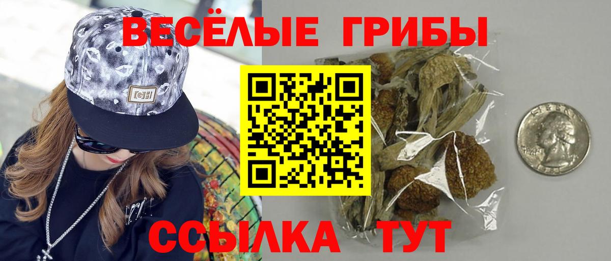 Галлюциногенные грибы MAGIC MUSHROOMS Горно-Алтайск